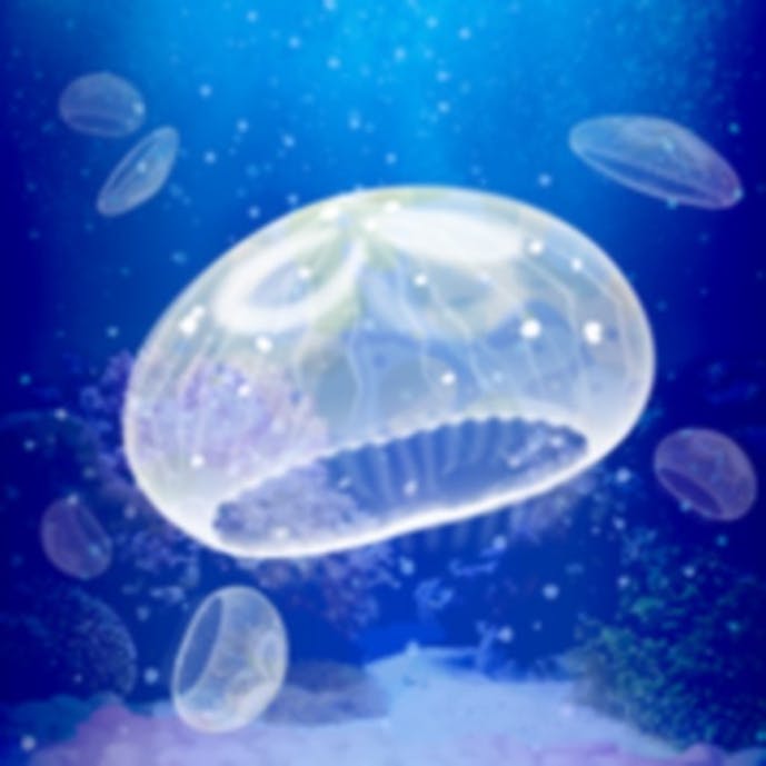 癒しのクラゲ育成ゲームその1