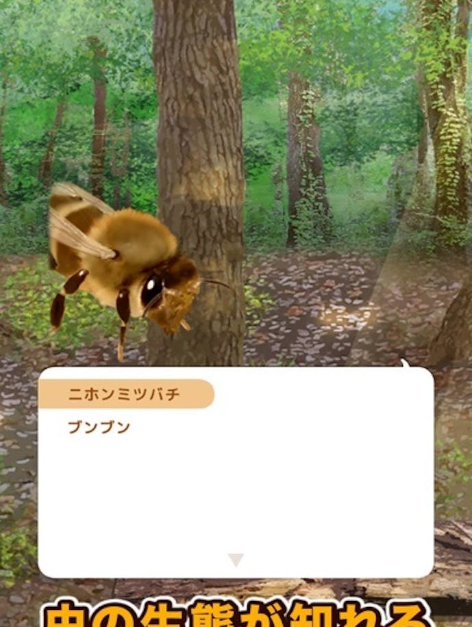 その6