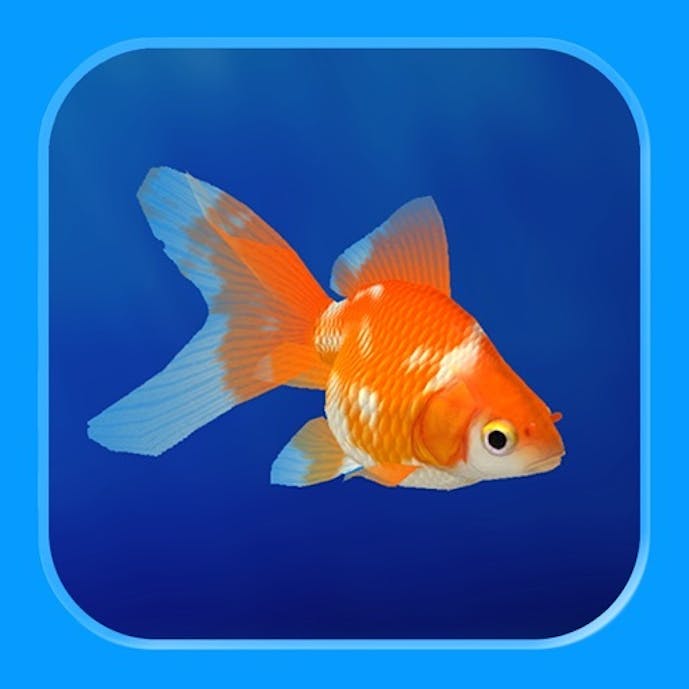 金魚育成アプリ「ポケット金魚」その1