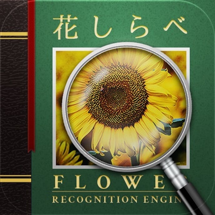花しらべ 花認識/花検索その1
