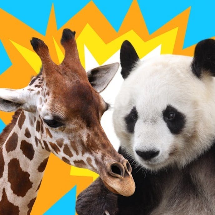 どうぶつタワーバトル - オンライン対戦ゲームその1