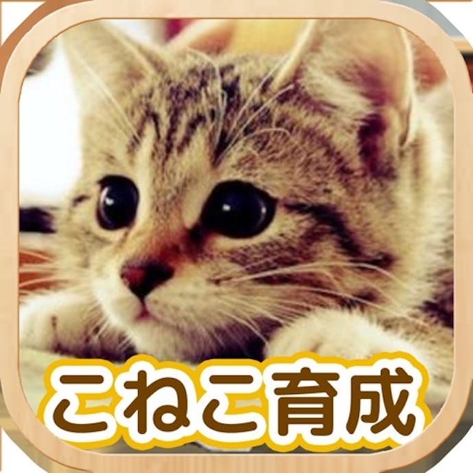 かわいい こねこ育成げーむその1
