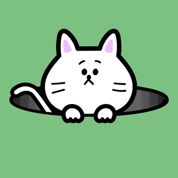 ポイポイねこその1