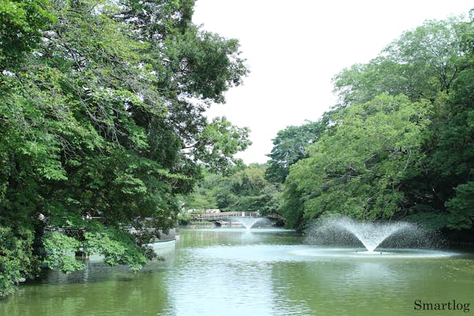 現役ミス東大が考えた 理想の 吉祥寺デートプラン Smartlog 現役ミス東大が考えた 理想の 吉祥寺デートプラン Smartlog