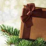 彼氏が喜ぶ“家電”のクリスマスプレゼント。男性に最適な電化製品とは