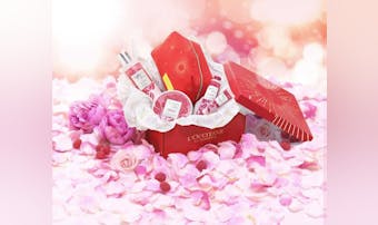 職場の女性たちに配ってみて!ロクシ...