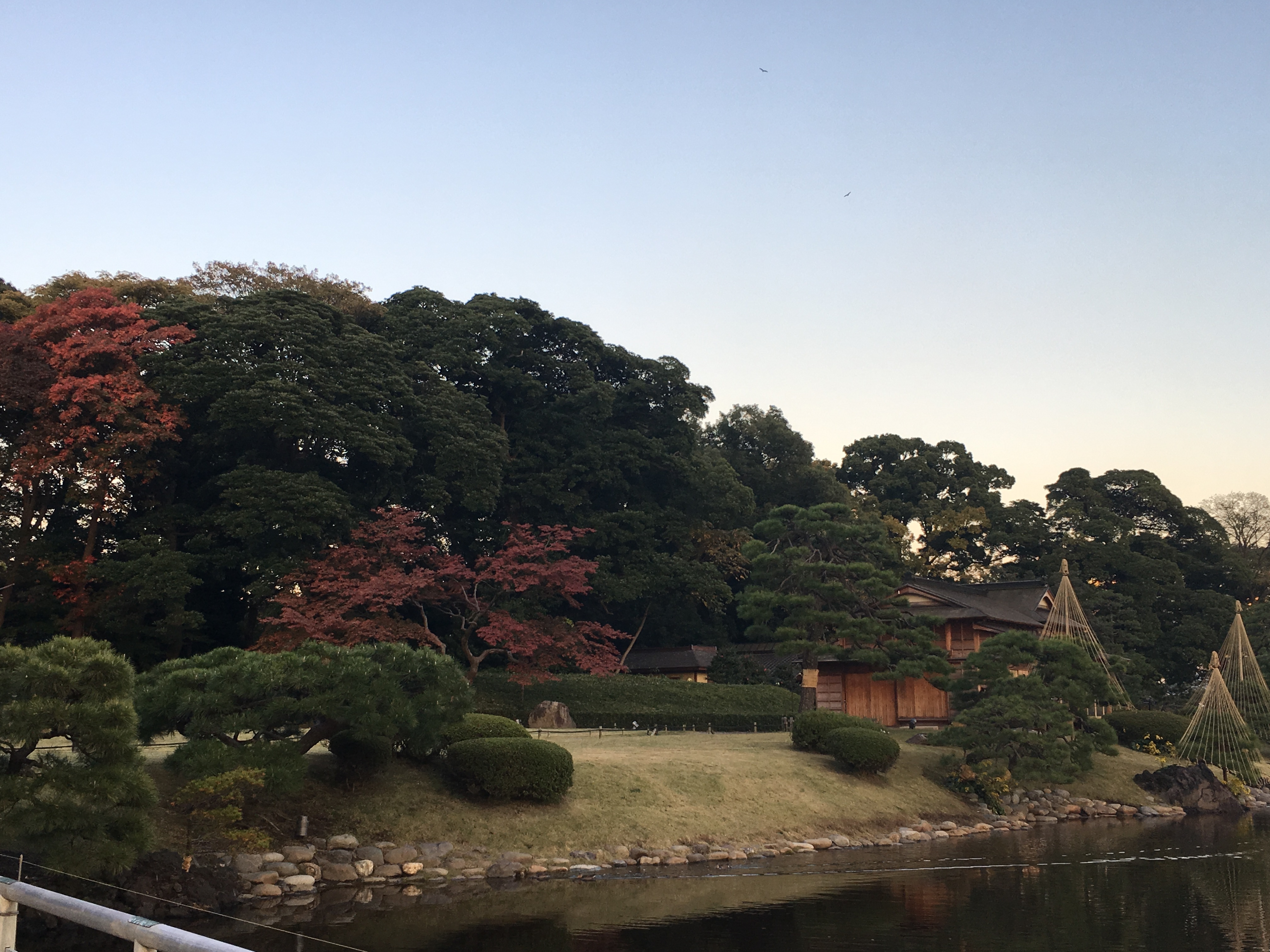 浜離宮恩賜庭園