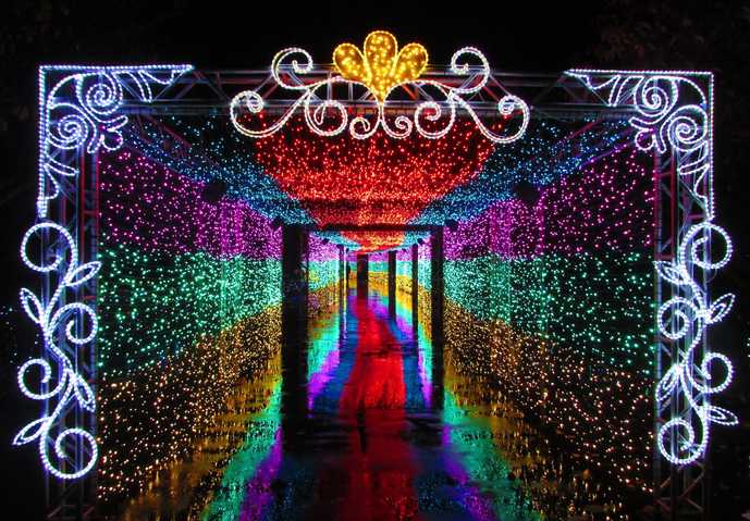 光の動物園に大変身！音楽と光が奏で...