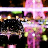 【日本三大イルミネーション】あしかがフラワ...