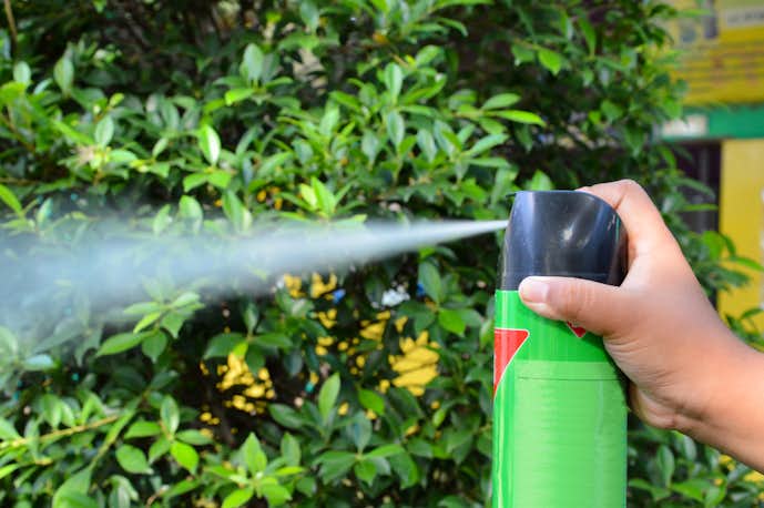 おしゃれ霧吹きボトルのおすすめ10選 観葉植物の水やりに最適な商品とは Smartlog