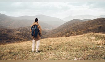 若々しさと高級感を併せ持つ『ロリン...