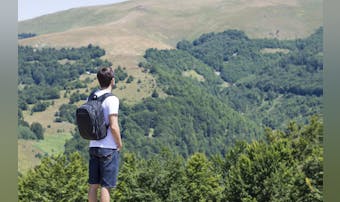 ベルーフの人気リュック7選。洗練さ...