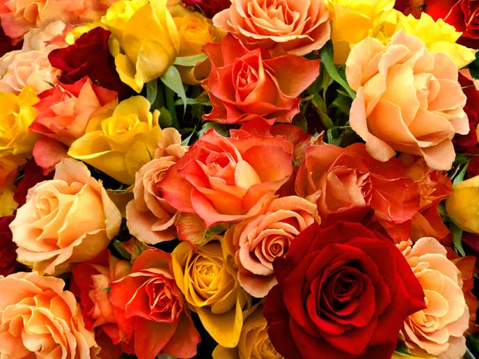 母の日におすすめのバラの花束 プレゼントに人気の花言葉までお届け Smartlog