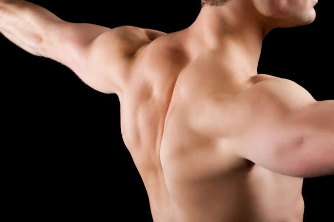 三角筋の効果的な鍛え方 肩の筋肉を鍛える筋トレ ストレッチ特集 Smartlog