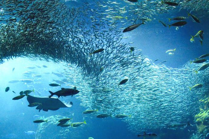 江ノ島でおすすめの観光スポット完全...