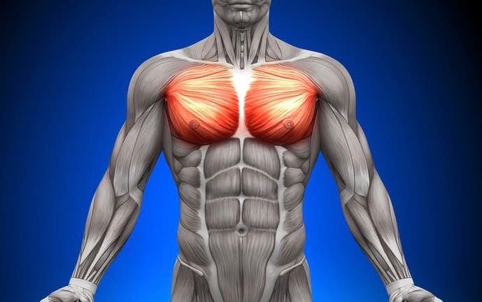 大胸筋内側の効果的な鍛え方 完璧な胸板 を作る筋トレメニュー9選 Smartlog