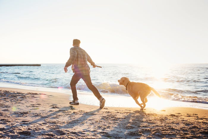 一人暮らしの男性がペットを飼うとモテる 5つの理由 モテない独身生活からの脱却 Smartlog