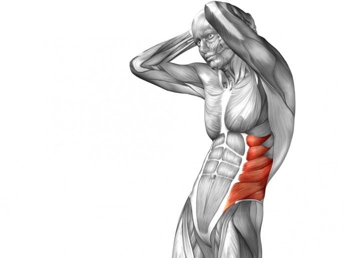 シックスパックの重要筋肉である腹斜筋
