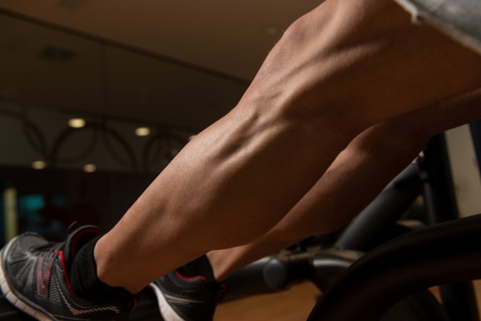 ヒラメ筋と腓腹筋の違いとは