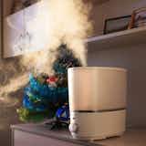 【種類別】加湿器の人気おすすめモデル解説ガイド。タイプ別の特徴を徹底比較!