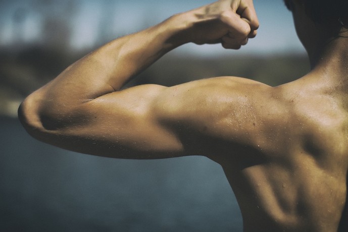 肩甲下筋の鍛え方。筋肥大に効果的なトレーニング＆ストレッチとは