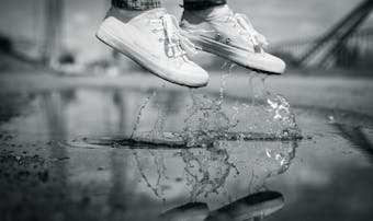 雨の日ディズニーをマニアが攻略 ランドとシーの悪天候日の楽しみ方とは Smartlog 雨の日ディズニーをマニアが攻略 ランドとシーの悪天候日の楽しみ方とは Smartlog