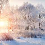 【12月/師走】時候の挨拶と結びの言葉。例文フレーズまとめ