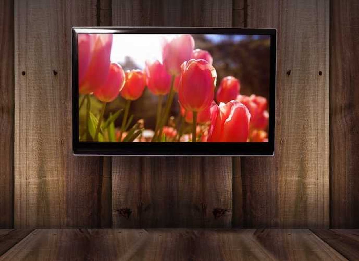 テレビのおすすめ商品とは 話題の4k 有機elテレビから選び方まで大公開 セレクト