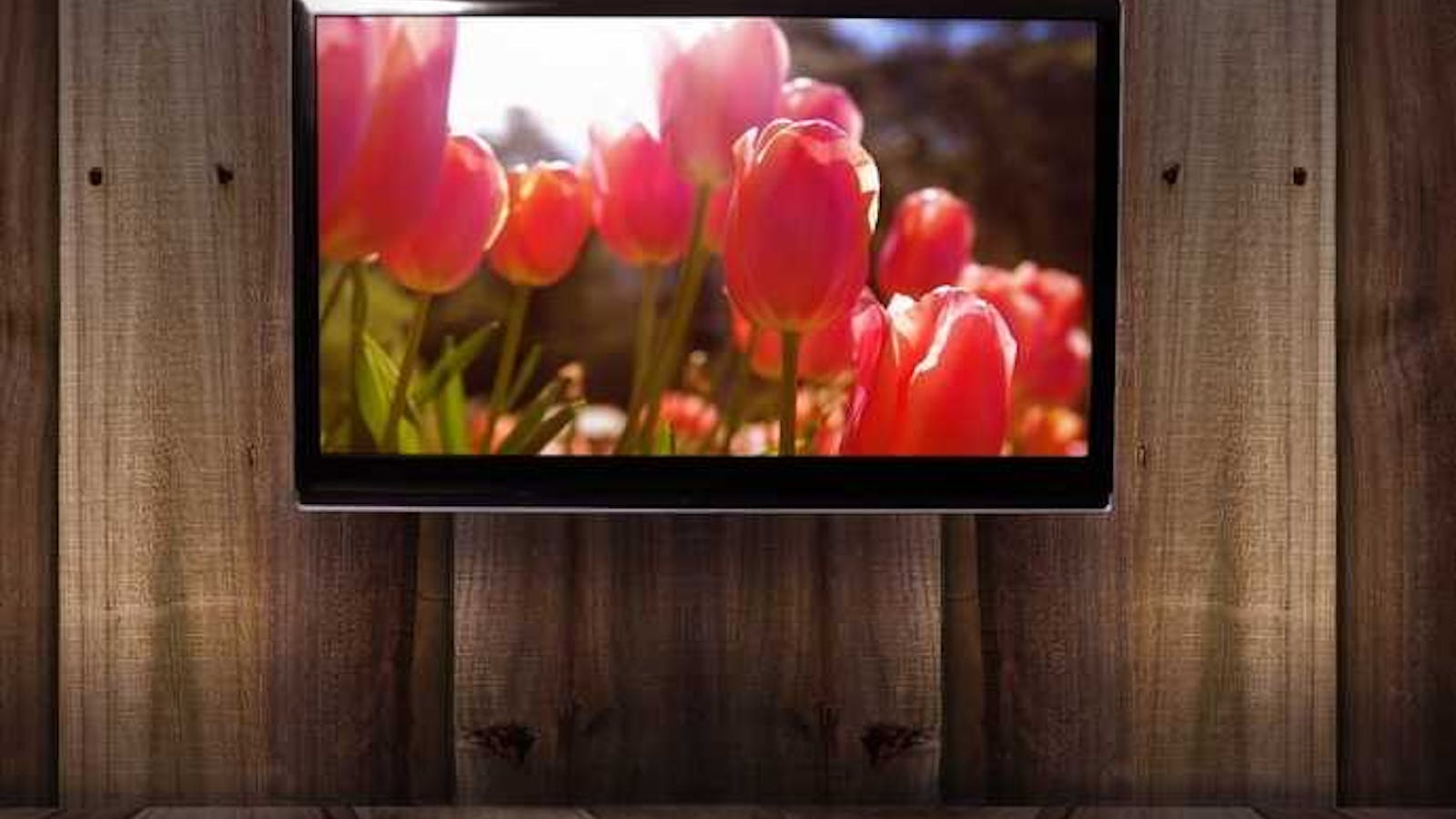 テレビのおすすめ商品とは 話題の4k 有機elテレビから選び方まで大公開 セレクト テレビのおすすめ商品とは 話題の4k 有機elテレビから選び方まで大公開 セレクト