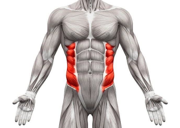 られる プランク 筋肉 鍛え 部位別の筋肉の名称を覚えよう！それぞれの鍛え方も解説！