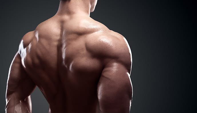 鍛えるべき筋肉「肩」