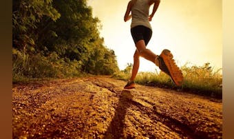 ダイエットに効果的な運動メニュー。...