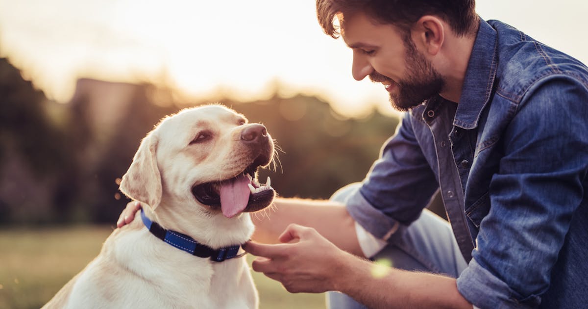 犬系男子の特徴15個 犬系男子の落とし方と相性の良い女性とは Smartlog 犬系男子の特徴15個 犬系男子の落とし方と相性の良い女性とは Smartlog