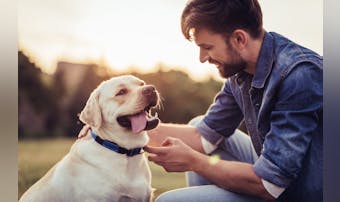 犬系男子の特徴15個｜犬っぽい人を...