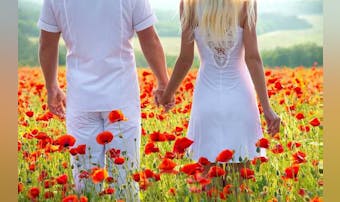 茨城県のおすすめ結婚相談所5選。地...