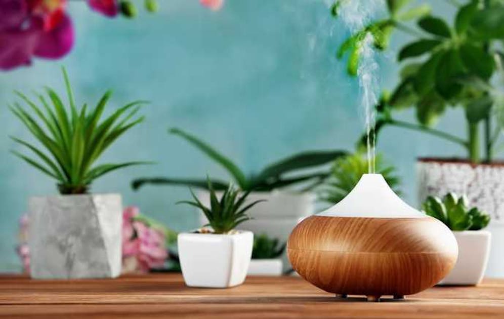 一人暮らしにおすすめの加湿器5選 コンパクト パワフルな一台とは Smartlog
