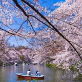 まったり楽しい休日に。吉祥寺を満喫する人気...