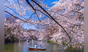 まったり楽しい休日に。吉祥寺を満喫...