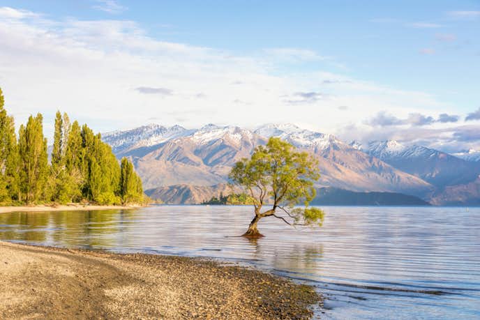 ニュージーランドのおすすめ観光スポットにワナカ湖