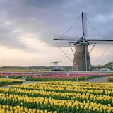 千葉県のおすすめお出かけスポット特集。デー...