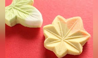母の日におすすめの和菓子ギフト集|...