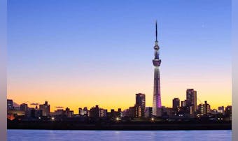 スカイツリー周辺のおすすめ人気デー...