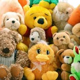 ぬいぐるみのおすすめ保管クリーニング4選。...