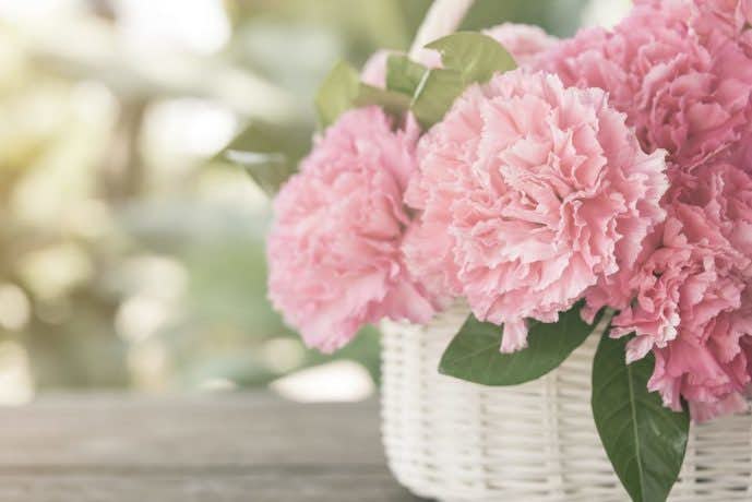 母の日におすすめの花ギフトランキング 洒落た花言葉のプレゼントを Smartlog