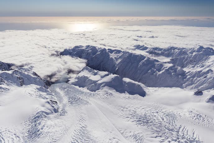 ニュージーランドのおすすめ観光スポットにフォックス氷河
