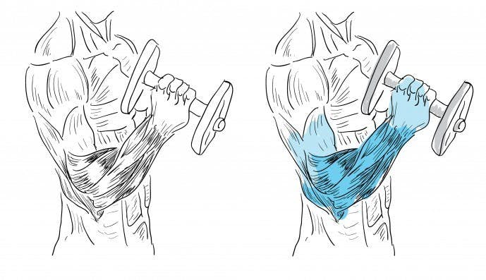前腕筋の位置