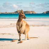 オーストラリアのおすすめ観光スポット25選。定番＆穴場の人気スポットをジャンル別に解説