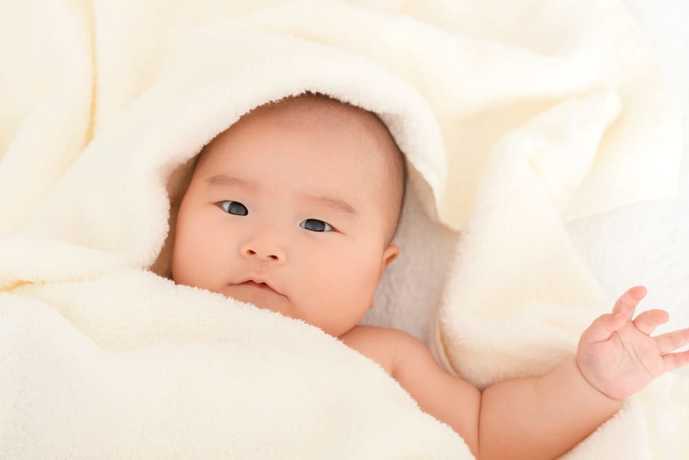 タオルケットのおすすめ宅配クリーニ...