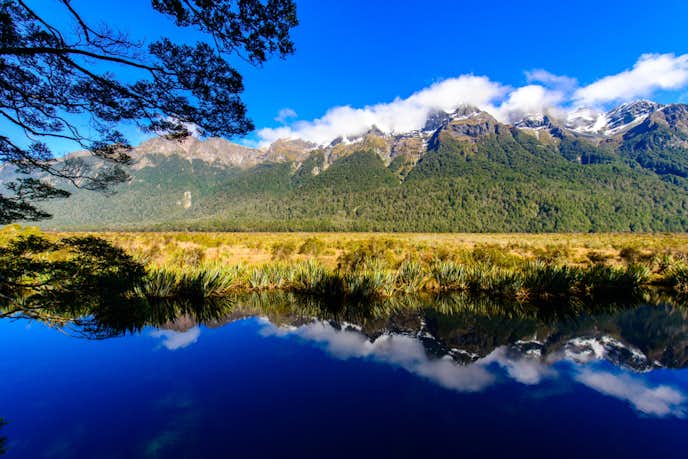 ニュージーランドのおすすめ観光スポットにミラー湖