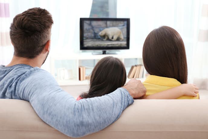 24インチテレビのおすすめ機種
